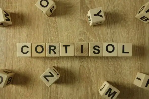 The Hidden Connection: How Stress Shapes Your Fitness and Body Composition 2 Image saying "Cortisol" and how stress Epping impacts your wellbeing and bodies shape